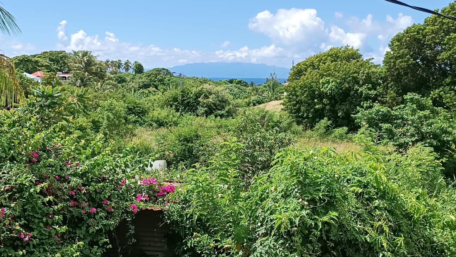 La Jemeli Hotel Grand-Bourg  Buitenkant foto